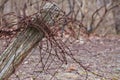 Rusty Barbed wire on rustic fence post Royalty Free Stock Photo