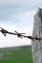 Rusty barbed wire, shallow depth of field Royalty Free Stock Photo