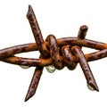 Rusty barbed wire with water drops on a white background Royalty Free Stock Photo