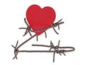 Rusty barbed wire wound around a wooden red heart isolated on white background, closeup