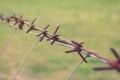 Rusty barbwire macro - barbed wire closeup Royalty Free Stock Photo