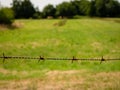 Rusty barbwire and meadow and trees in blurry background. Royalty Free Stock Photo