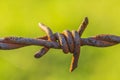 Rusty barbwire Royalty Free Stock Photo