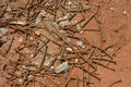 Rusty and bent used nails thrown on dirt and gravel floors