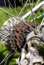 bicycle chain on the back sprockets of a derailleur gear Royalty Free Stock Photo