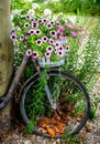Rusty bike deocrated with flowers Royalty Free Stock Photo
