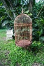Rusty bird cage