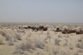 Rusty boats of the Aral Sea