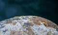 rusty bollard in a harbour