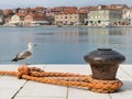 Rusty bollard, orange dew and a youg sea gull in the harbour of Cres