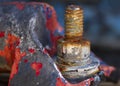 Rusty bolt Royalty Free Stock Photo