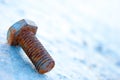 Rusty bolt Royalty Free Stock Photo