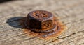 Rusty Bolt Head on Weathered Wood Royalty Free Stock Photo