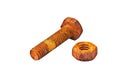 Rusty bolt and nut