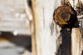 Rusty bolt nut detail Royalty Free Stock Photo