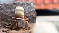 Rusty bolt and nut on the old rusty metal. Selective focus Royalty Free Stock Photo