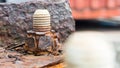 Rusty bolt and nut on the old rusty metal. Selective focus Royalty Free Stock Photo