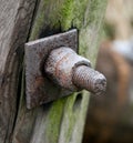 Rusty Bolt with Two Nuts in a Wooden Log Royalty Free Stock Photo