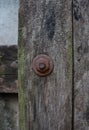 Rusty Bolt on Wood. Royalty Free Stock Photo