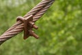 Rusty, bolted metal wire rope for suspension bridge. Royalty Free Stock Photo