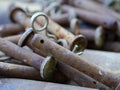 Rusty bolts with spring detail