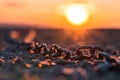Rusty broken chains on the ground at sunrise symbolizing the dawn of freedom and new beginnings Royalty Free Stock Photo