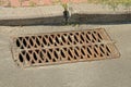 brown iron drain grate on gray asphalt road Royalty Free Stock Photo