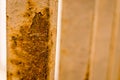 Rusty brown and white of handrail in city Royalty Free Stock Photo
