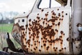 Rusty bullet holes in the door start the truck Royalty Free Stock Photo
