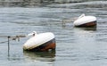 Rusty buoys in port water