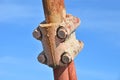 Rusty cable of bridge pylon Royalty Free Stock Photo