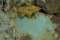 Rusty Car Bonnet Royalty Free Stock Photo