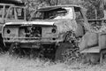 Rusty car wreck in the forest in black and white