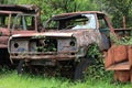 rusty car wreck in the forest
