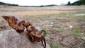 Rusty chain from abandoned village.