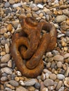 Rusty chain on Aldeburgh beach. Royalty Free Stock Photo