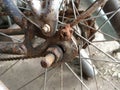 Rusty chain bicycle