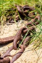 Rusty chain from a boat anchor in the sand Royalty Free Stock Photo