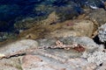 Rusty chain bolted into rocks