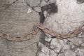 Rusty chain on broken pavement Royalty Free Stock Photo