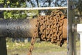 Rusty chain on canal lock gear