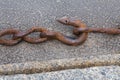 Rusty chain, hook, close-up Royalty Free Stock Photo