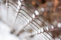 Rusty chain link iron fence in winter Royalty Free Stock Photo