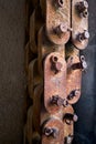 Rusty Chain Links Royalty Free Stock Photo