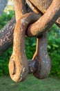 Rusty chain links on large anchor in garden Royalty Free Stock Photo