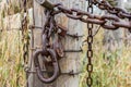 Rusty chain and lock on fense post Royalty Free Stock Photo