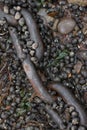 Rusty Chain on Pebble Beach Royalty Free Stock Photo
