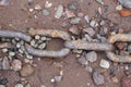 Rusty Chain on Pebble Beach Royalty Free Stock Photo