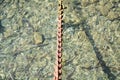 Rusty chain in trasparent water, stones, water, abstract background Royalty Free Stock Photo