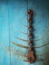 Rusty Chain on Weathered Blue Wooden Door Royalty Free Stock Photo